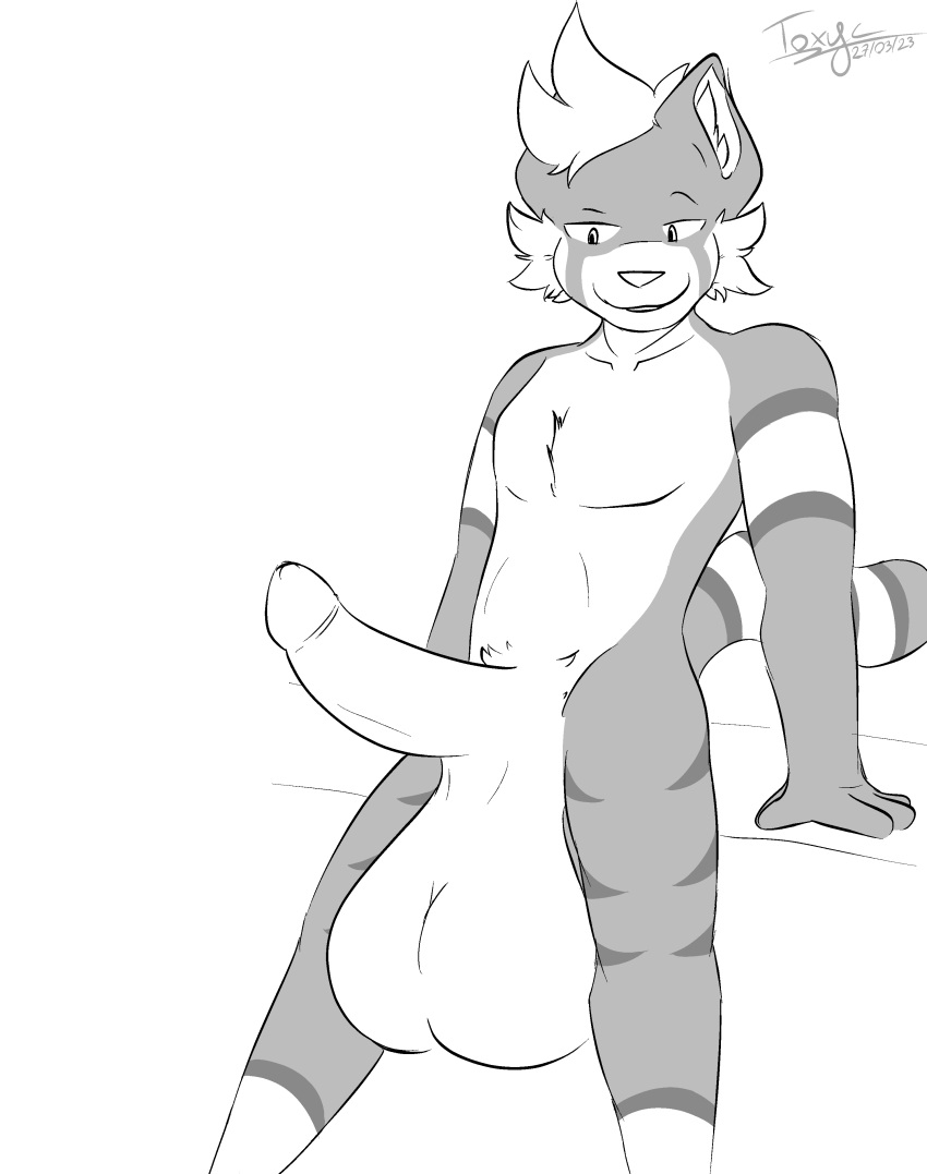 absurd_res ailurid anthro balls big_balls connor_(toxyc) genitals hi_res huge_balls hyper hyper_balls hyper_genitalia male male/male mammal monochrome penis red_panda simple_background sketch smile smirk solo tail toxyc white_background