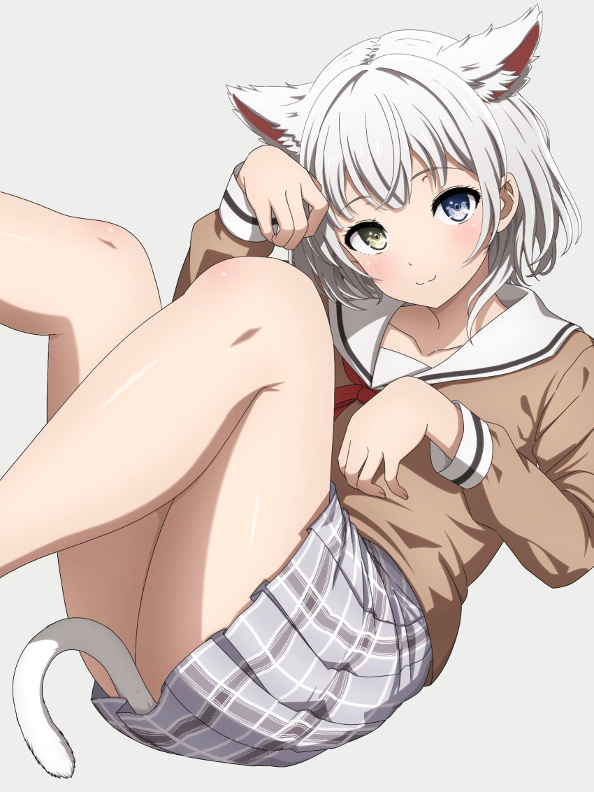 1girl :3 animal_ear_fluff animal_ears arm_up bang_dream! bang_dream!_it's_mygo!!!!! blue_eyes blush brown_shirt cat_ears cat_girl cat_tail closed_mouth collarbone feet_out_of_frame grey_background grey_skirt hanasakigawa_school_uniform hand_up heterochromia highres kaname_raana kemonomimi_mode leaning_back legs_up long_sleeves looking_at_viewer medium_hair miniskirt neck_ribbon noshimurin paw_pose plaid plaid_skirt pleated_skirt red_ribbon ribbon sailor_collar school_uniform serafuku shirt simple_background sitting skirt smile solo tail tail_censor white_hair white_sailor_collar yellow_eyes