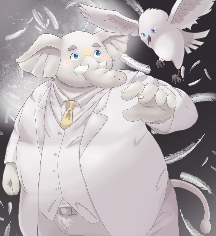 anthro avian belly bird blue_eyes blush clothing columbid dove elephant elephantid feathers feral grey_body hi_res hizen_(tamacolle) male mammal necktie overweight proboscidean proboscis_(anatomy) suit tamacolle timaki_z trunk_(anatomy) tusks white_clothing