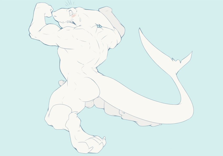 5_toes anthro balls blue_background blush butt claws dragondrawer erection feet fin fish genitals head_fin humanoid_genitalia humanoid_penis kneeling male marine muscular muscular_anthro muscular_male nude penis shark simple_background solo tail tail_fin teeth toes