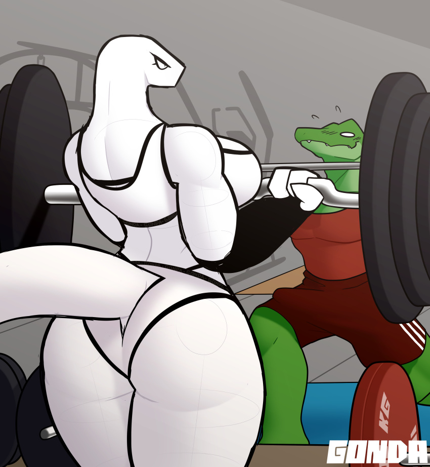 3_fingers absurd_res big_breasts big_butt breasts butt crocodile crocodilian crocodylid duo exercise female fingers gonda green_body gym gym_clothing hi_res humanoid k.o.mondo male mature_female reptile scalie sketch weightlifting white_body workout