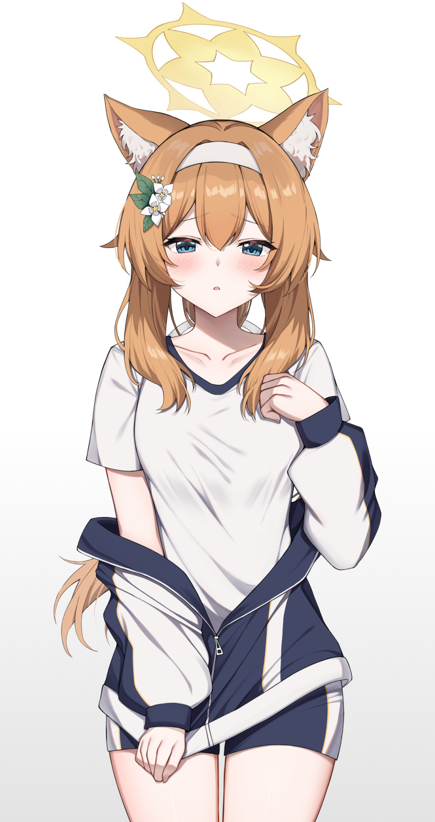 1girl :o animal_ear_fluff animal_ears blue_archive blue_eyes blue_jacket blue_shorts blush breasts brown_hair collarbone commentary_request flower gradient_background grey_background gym_shirt gym_shorts gym_uniform hair_between_eyes hair_flower hair_ornament hairband halo highres jacket kurigura_(sketch_san) long_hair looking_at_viewer mari_(blue_archive) off_shoulder open_clothes open_jacket parted_lips shirt short_shorts short_sleeves shorts sidelocks small_breasts solo very_long_hair white_background white_flower white_hairband white_shirt