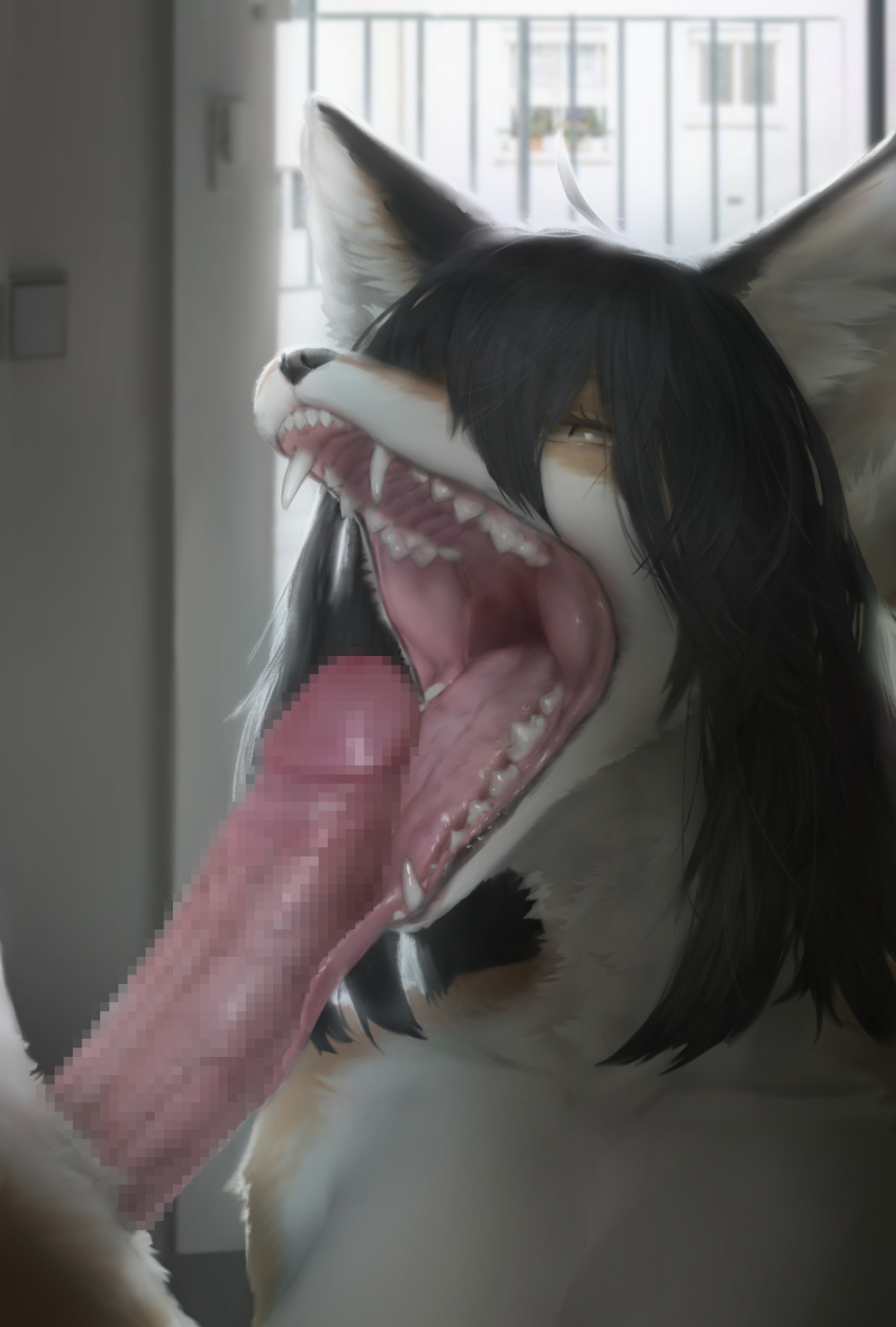 2023 anthro anthro_focus canid canine censored digital_media_(artwork) duo fangs female female_anthro female_focus fox fur genitals hair hi_res humanoid_genitalia humanoid_penis kemono licking male male/female male_anthro mammal mayo_the_fox mosaic_censorship multicolored_body multicolored_fur nude open_mouth oral penile penis penis_lick sex sharp_teeth solo_focus teeth tongue tongue_out