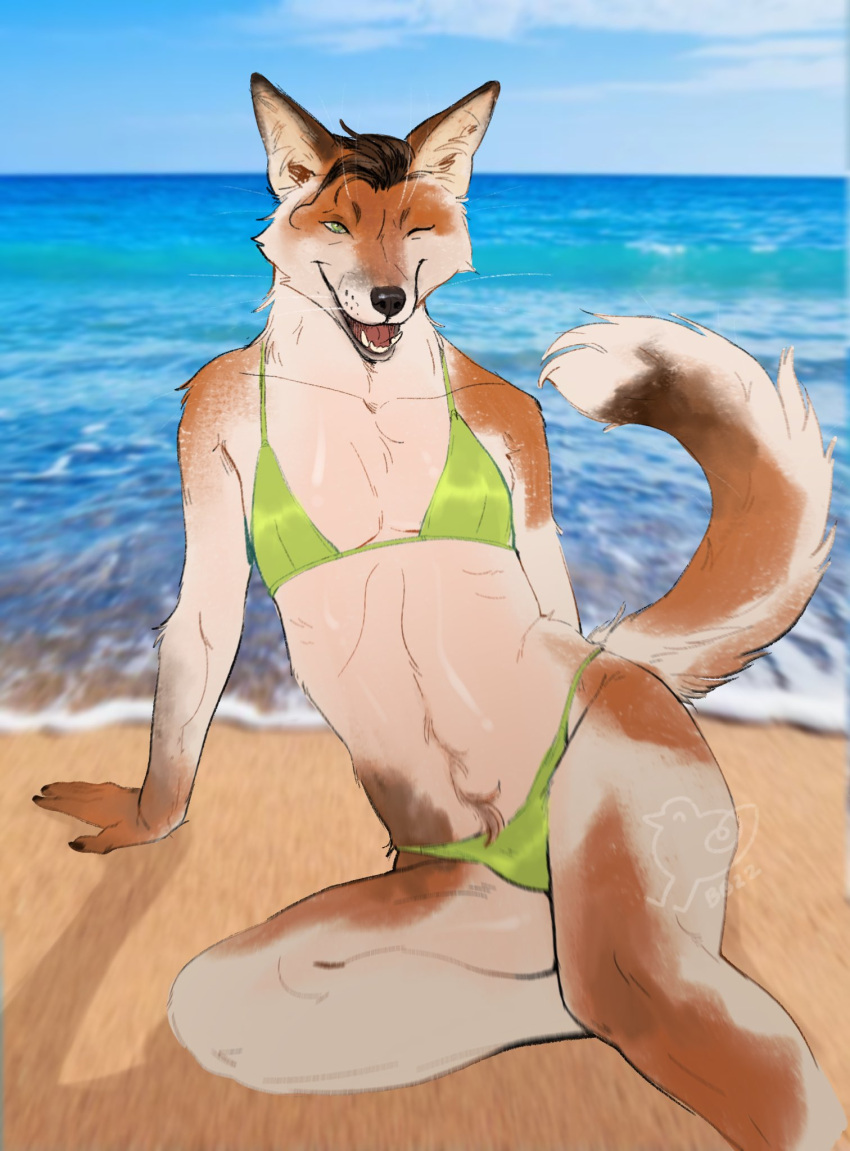 5_fingers anthro arm_support backward_arm_support beach beakbonk bikini bikini_bottom bikini_top blurred_background brown_body brown_fur brown_hair brown_pubes bulge canid canine canis claws clothed clothing coyote crossdressing finger_claws fingers fur green_bikini green_clothing green_eyes green_swimwear hair hi_res inner_ear_fluff looking_at_viewer male mammal on_ground on_sand one_eye_closed open_mouth open_smile outside photo_background photo_manipulation photography_(artwork) pinup pose pubes seaside sharp_teeth sitting sky smile solo swimwear tail tan_body tan_fur teeth tongue tuft water wink winking_at_viewer