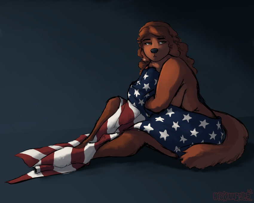 2023 absurd_res anthro artist_name bird_dog black_nose breasts brown_body brown_fur canid canine canis charlotte_(herrkennstalles) colored digital_media_(artwork) domestic_dog ear_piercing female flag fur green_eyes hair herrkennstalles hi_res hunting_dog irish_setter mammal monotone_body monotone_fur monotone_hair nude piercing setter shaded side_boob side_view simple_background sitting solo stars_and_stripes united_states_of_america year