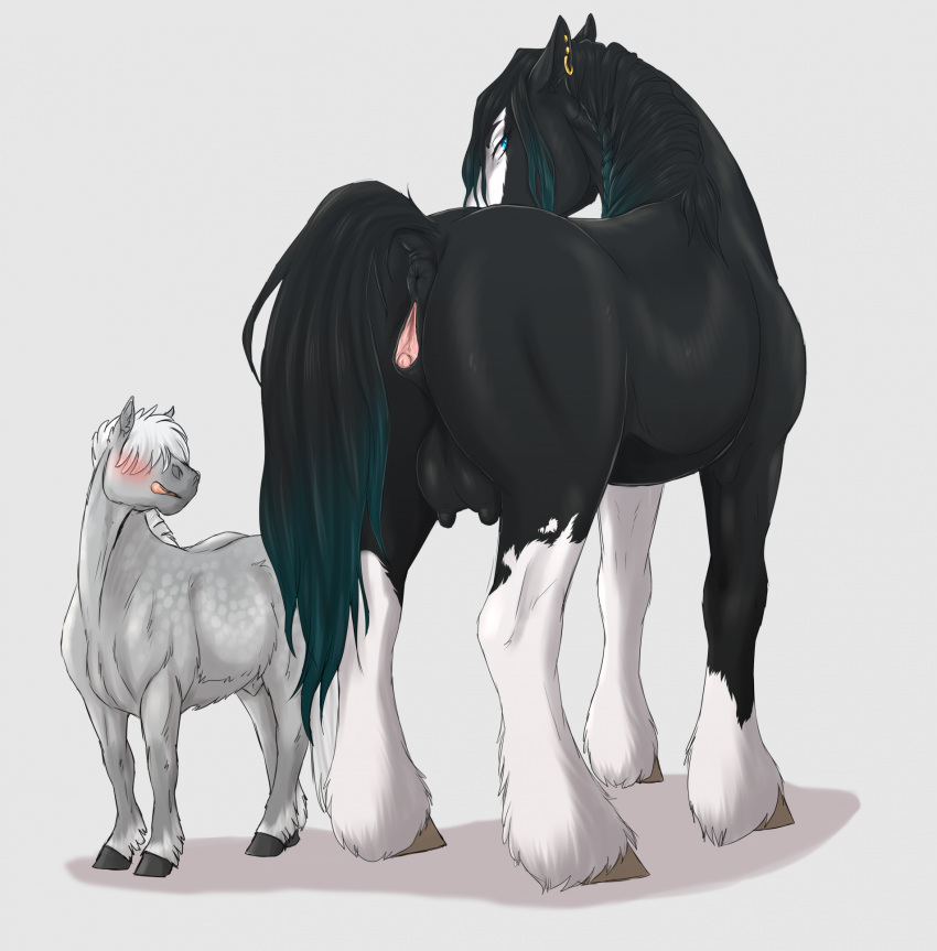 anatomically_correct anatomically_correct_genitalia anatomically_correct_pussy animal_genitalia animal_pussy anita_(kamilazu) anus black_body black_fur black_hair blue_eyes blush draft_horse duo equid equine equine_genitalia equine_pussy feathering female feral fetlocks fur genitals grey_body grey_fur hair hi_res hooves horse kamilazu larger_female licking licking_lips male male/female mammal nipples pussy rear_view shire size_difference smaller_male smile teats tongue tongue_out white_hair