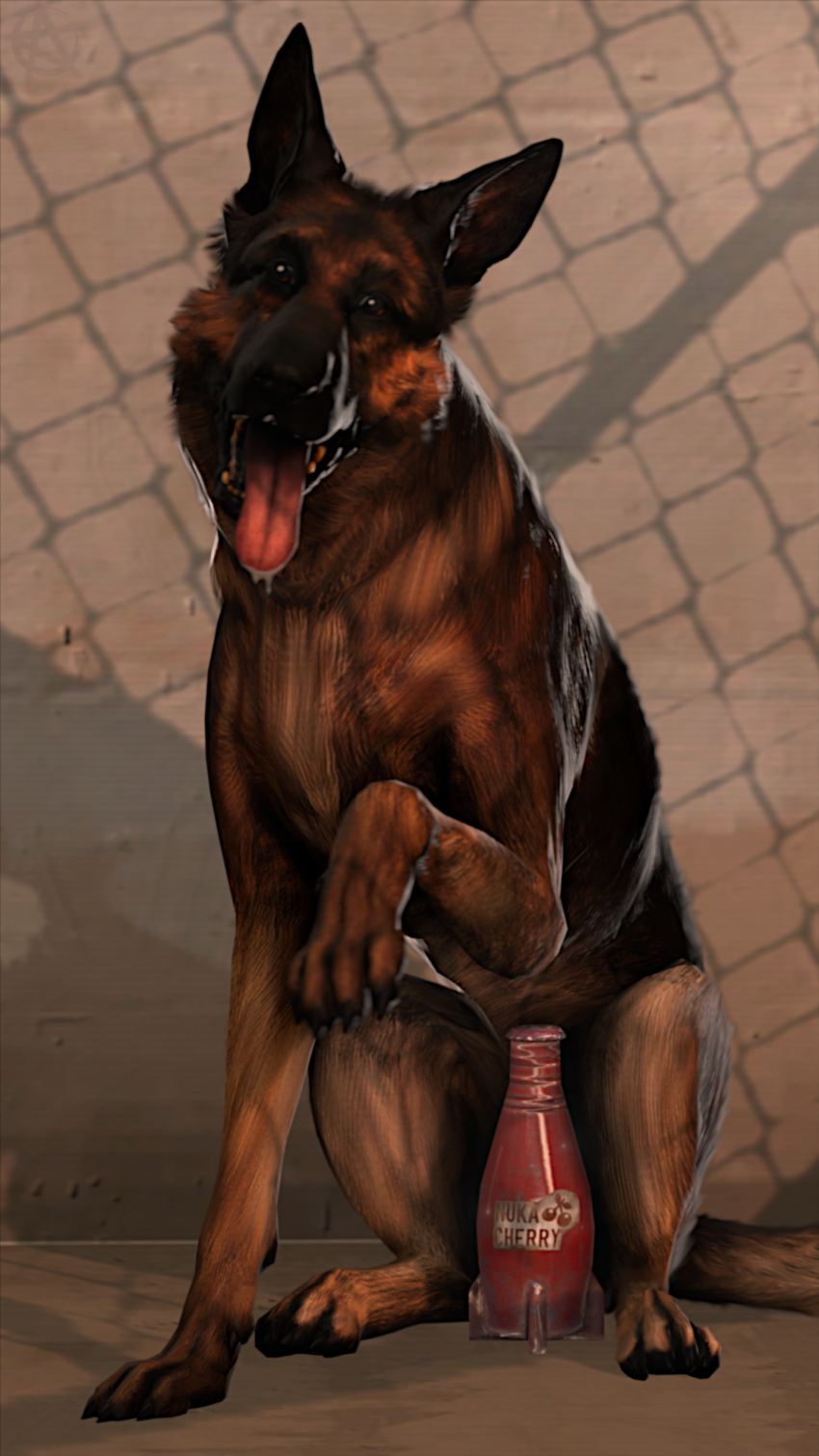 9:16 absurd_res bethesda_softworks bodily_fluids canid canine canis dogmeat domestic_dog fallout feral german_shepherd herding_dog hi_res looking_at_viewer male mammal nuka-cola nuka-cola_cherry pastoral_dog saliva sfmsalandit solo solo_focus teasing tongue tongue_out
