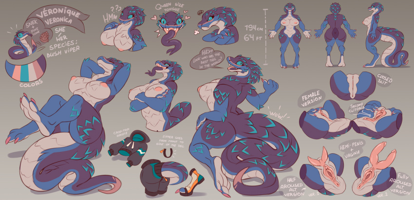 2023 anthro big_tongue blue_body blue_eyes blue_scales breasts bush_viper claws clitoris female genitals herm hi_res intersex long_tongue lying model_sheet multi_clitoris multi_genitalia multi_penis nipples non-mammal_breasts non-mammal_nipples nude old_world_viper on_back penis pupils purple_body purple_scales pussy reclining reptile scales scalie slit_pupils snake solo thick_thighs tongue tongue_out vero_(sand0x) viper vurrus