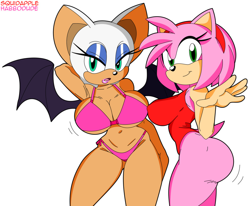 amy_rose anthro bat big_breasts big_butt bikini breasts butt clothing duo eulipotyphlan female habbodude hedgehog hi_res mammal rouge_the_bat sega sonic_the_hedgehog_(series) squidapple swimwear wings