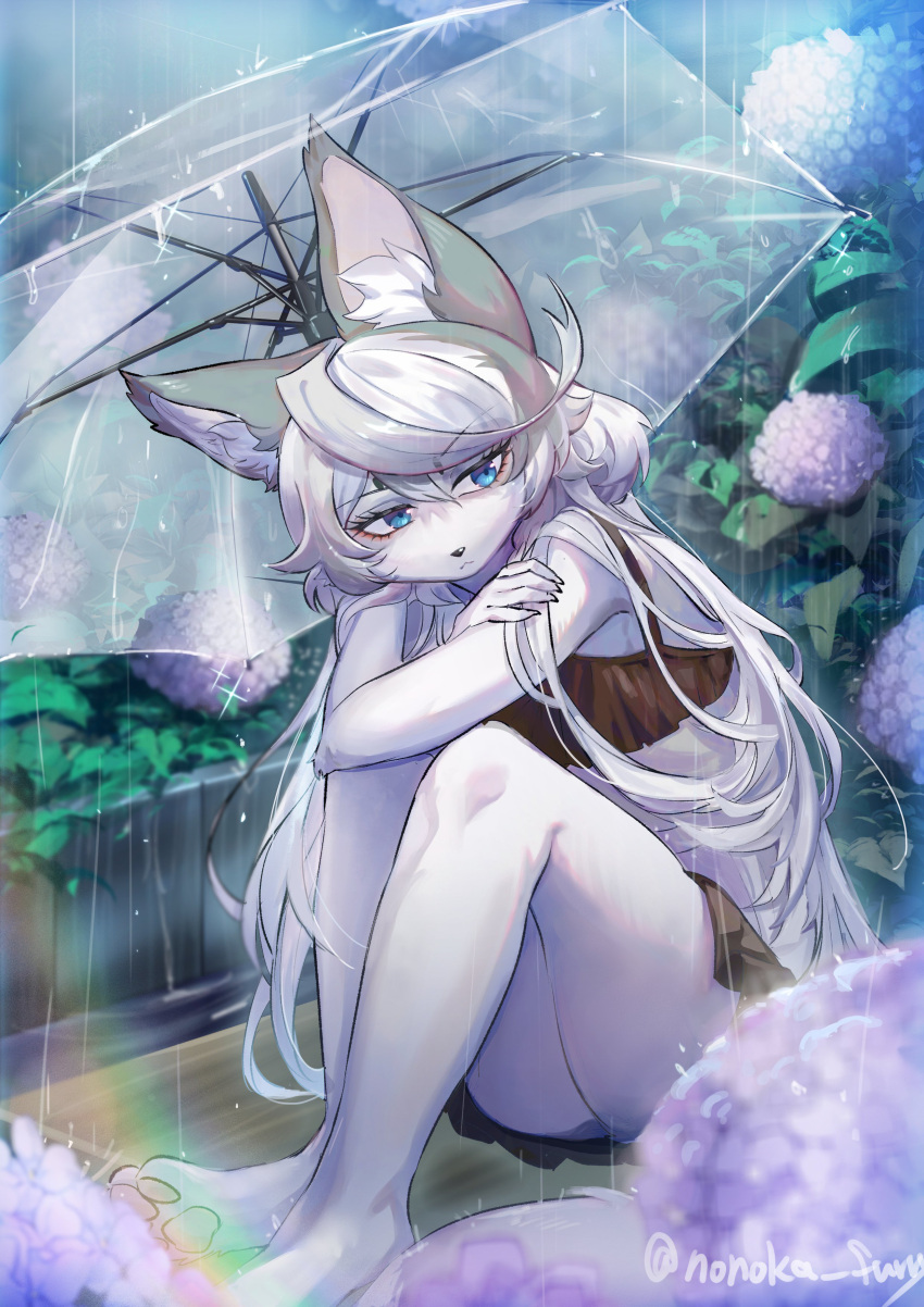 absurd_res anthro black_nose blue_eyes bottomwear canid canine canis claws clothing crossed_arms eyelashes female fluffy_ears fur grey_body grey_ears grey_fur grey_hair hair hi_res inner_ear_fluff leaf long_hair mammal nonoka917 pawpads pensive raining sitting skirt solo tuft umbrella white_body white_fur wolf