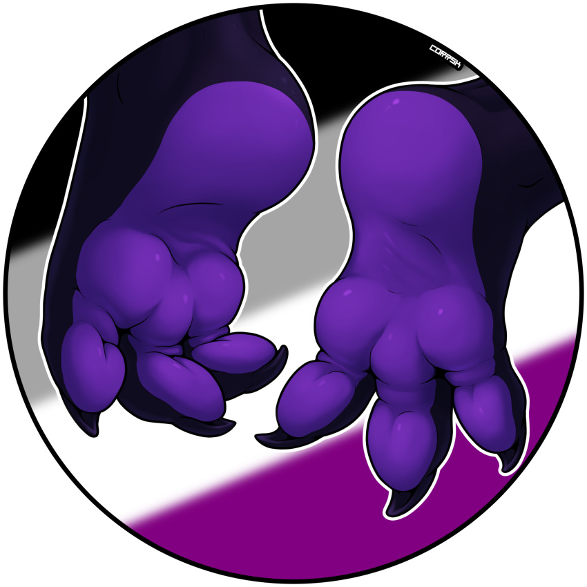 3_toes anthro asexual_pride_colors claws corrsk digital_media_(artwork) dragon feet foot_fetish foot_focus hi_res lgbt_pride male paws pride_colors simple_background soles solo toes vanthrys