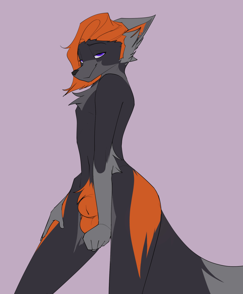 animal_genitalia anthro canid canine colored fox genitals grayteshrimp hi_res looking_at_viewer male mammal morgan_(disambiguation) sheath simple_background smile smirk smirking_at_viewer solo wide_hips