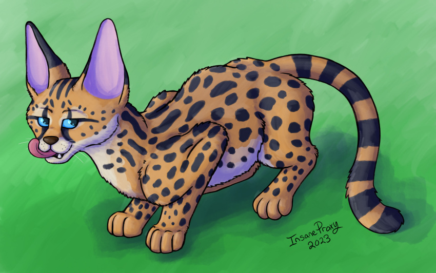 ambiguous_gender blue_eyes felid feline feral fur green_background hi_res insaneproxy_(artist) mammal serval simple_background solo spots spotted_body spotted_fur stripes tongue tongue_out