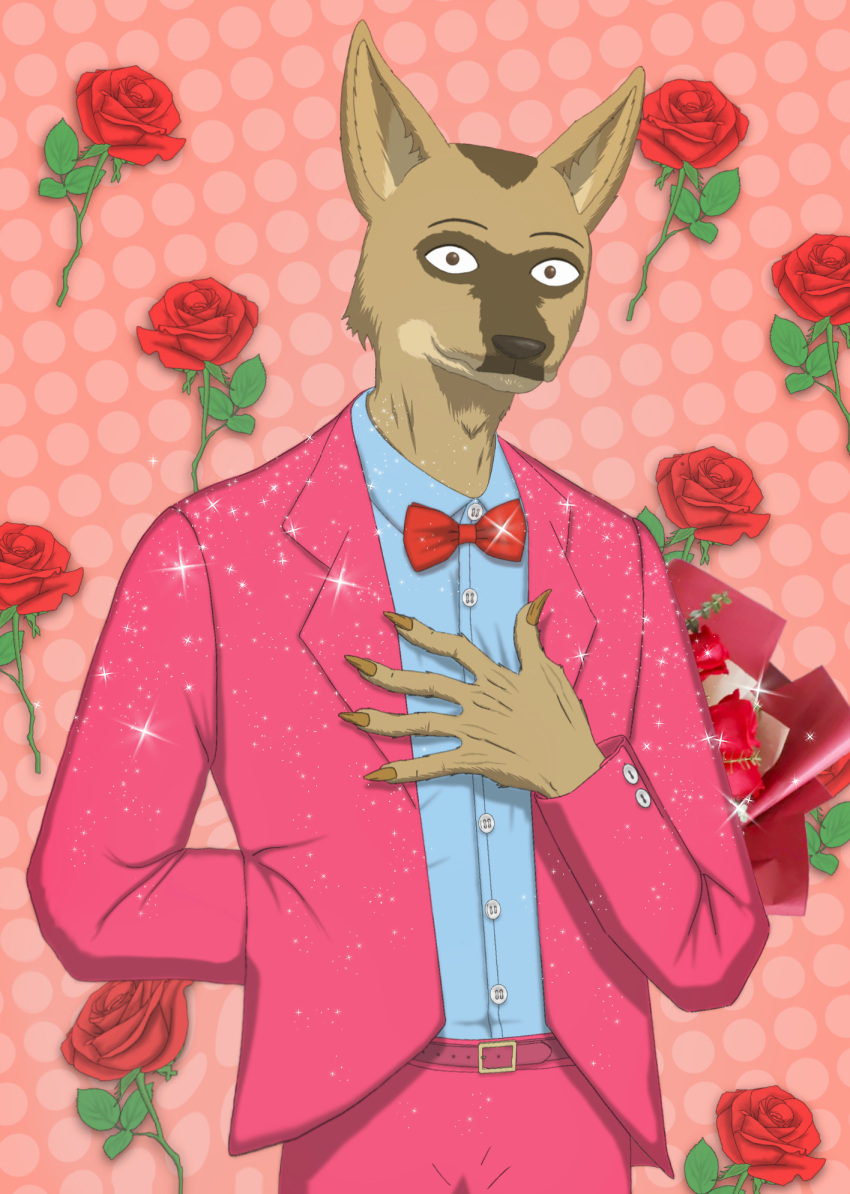 beastars belt bling blue_clothing blue_shirt blue_topwear bow_tie canid canine canis clothing confession coyote dress_shirt durham_(beastars) flower hand_behind_back hand_covering hand_on_chest hi_res looking_at_viewer love male mammal pink_background pink_belt pink_clothing pink_suit plant red_bow_tie rose_(flower) shirt simple_background smile smiling_at_viewer solo suit topwear wolf xdzy111