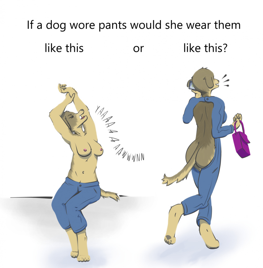 2023 anthro areola arms_above arms_above_head barefoot beagle bottomwear breasts butt canid canine canis cellphone clothed clothing countershade_face countershade_tail countershade_torso countershading denim denim_clothing digital_media_(artwork) digitigrade domestic_dog emanata english_text eyes_closed feet female fingers floppy_ears fur hi_res holding_cellphone holding_object holding_phone holding_purse hunting_dog jeans jeans_only legs_together mammal meme meme_clothing motion_lines multicolored_body navel nipples nonameqwerasd open_mouth pants pawpads phone purse rear_view scent_hound short_tail simple_background sitting smartphone smile solo stretching tail text toes topless topless_female walking walking_away whiskers yawn yawning_position