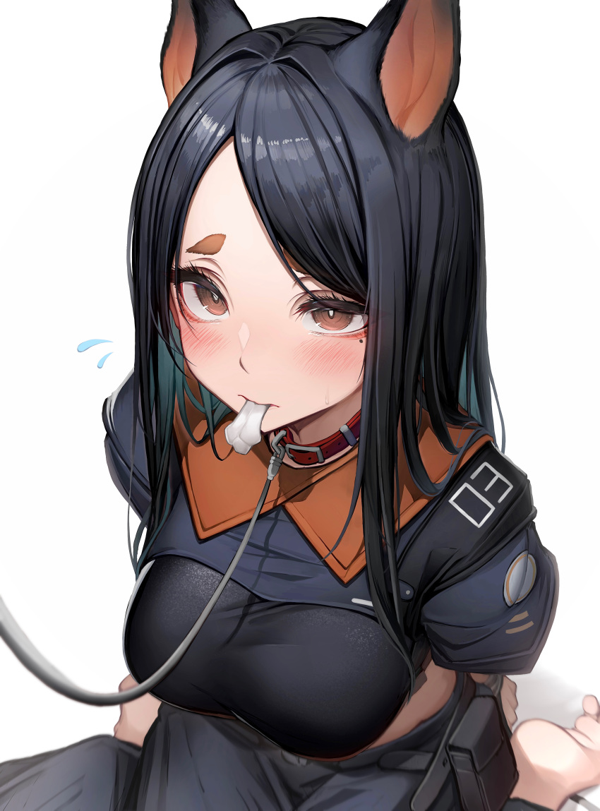 1girl absurdres animal_ears arknights black_hair black_pants black_shirt blush bone breasts brown_eyes collar commentary_request dobermann_(arknights) dog_ears dog_girl highres leash long_hair looking_at_viewer mole mole_under_eye pants red_collar shirt simple_background sitting solo swept_bangs tab_head wariza white_background