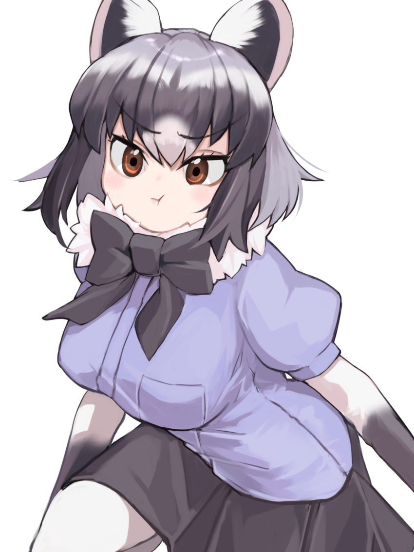 1girl :t a888_n22 animal_ears arms_at_sides black_bow black_bowtie black_hair black_skirt blush bodystocking bow bowtie breast_pocket breasts brown_eyes closed_mouth common_raccoon_(kemono_friends) eyelashes fur_collar grey_hair hair_between_eyes highres kemono_friends large_breasts layered_sleeves leaning_forward long_sleeves looking_at_viewer medium_hair miniskirt multicolored_hair pale_skin pantyhose pleated_skirt pocket pout puffy_short_sleeves puffy_sleeves raccoon_ears shirt short_over_long_sleeves short_sleeves simple_background skirt solo taut_clothes tsurime v-shaped_eyebrows white_background white_hair