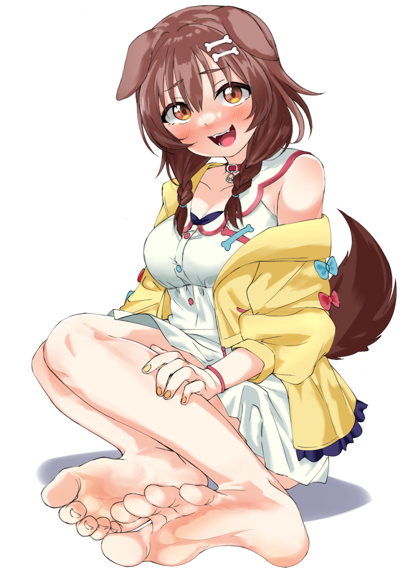 1girl animal_collar animal_ears barefoot blush braid breasts brown_eyes cleavage collar collarbone commentary_request dog_ears dog_girl dog_tail dress fangs feet foreshortening full_body hair_between_eyes hair_ornament hand_on_own_leg highres hololive impossible_clothes impossible_dress inugami_korone jacket legs_together long_hair long_sleeves medium_breasts nail_polish off_shoulder open_mouth partial_commentary shadow shiny_skin short_dress sidelocks simple_background soles solo tail toe_scrunch toenails toes twin_braids virtual_youtuber white_background white_dress yellow_jacket yellow_nails yorunoudonya