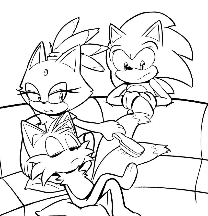 alotaart amy_rose anthro brush canid canine domestic_cat eulipotyphlan feet felid feline felis female fox furniture group hedgehog hi_res line_art male mammal miles_prower personal_grooming sega social_grooming sofa sonic_the_hedgehog sonic_the_hedgehog_(series) trio