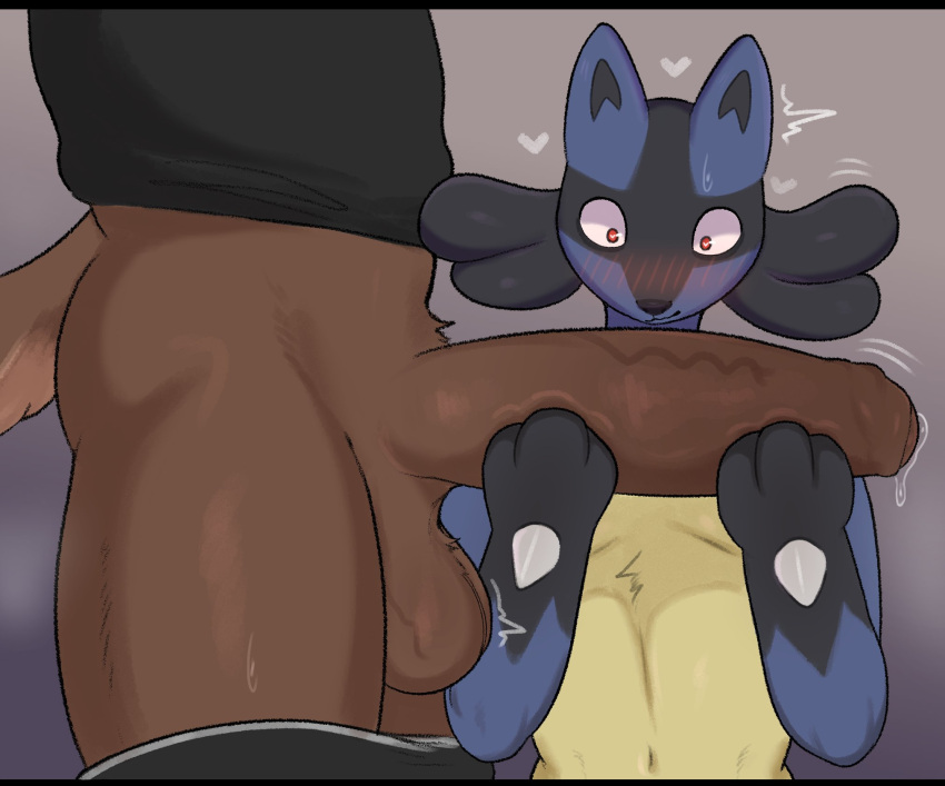 anthro balls big_penis blush bodily_fluids bottomwear canid canine clothed clothing dripping duo erection faceless_character faceless_male foreskin generation_4_pokemon genital_fluids genitals hi_res holding_penis huge_penis lucario male male/male mammal nintendo partially_clothed penis pokemon pokemon_(species) precum precum_drip shirt shorts shorts_down sijimmy456 topwear vein veiny_penis