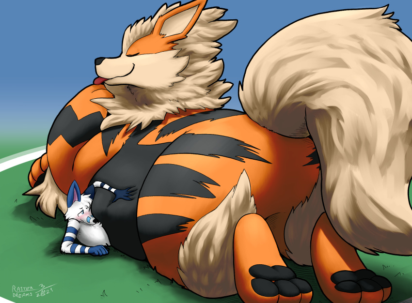 anthro arcanine arctic_fox belly big_belly blep blizzard_(blizzyfox) blush canid canine duo feral fox generation_1_pokemon hi_res male male/male mammal nintendo pinned pokemon pokemon_(species) raster_dreams squish tongue tongue_out winter_(blizzyfox)