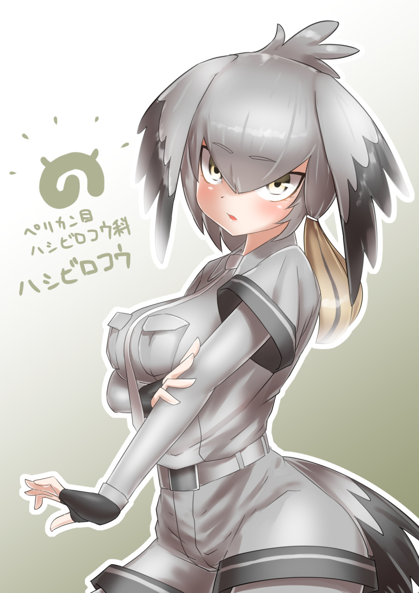 1girl arm_under_breasts belt bird_girl bird_tail bird_wings black_gloves black_hair blonde_hair bodystocking breasts collared_shirt cowboy_shot fingerless_gloves from_side gloves grey_hair grey_shirt grey_shorts hair_between_eyes hand_on_own_arm head_tilt head_wings highres japari_symbol kemono_friends large_breasts layered_sleeves long_bangs long_hair long_sleeves looking_at_viewer multicolored_hair necktie outstretched_arm parted_lips shirt shoebill_(kemono_friends) short_over_long_sleeves short_sleeves shorts side_ponytail solo tail taut_clothes white_necktie wing_collar wings yellow_eyes yonkuron