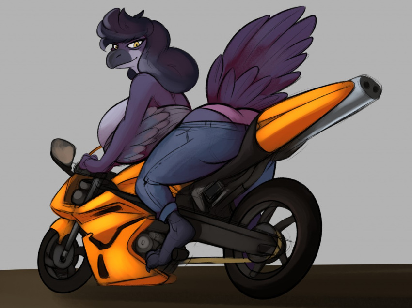 2019 avian beak big_breasts big_butt bird bottomwear breasts butt clothing corvid corvus_(genus) crow denim denim_clothing feathers female grey_body grey_feathers grey_hair hair huge_breasts jeans long_hair motorcycle oscine pants passerine robomax solo talons vehicle yellow_eyes