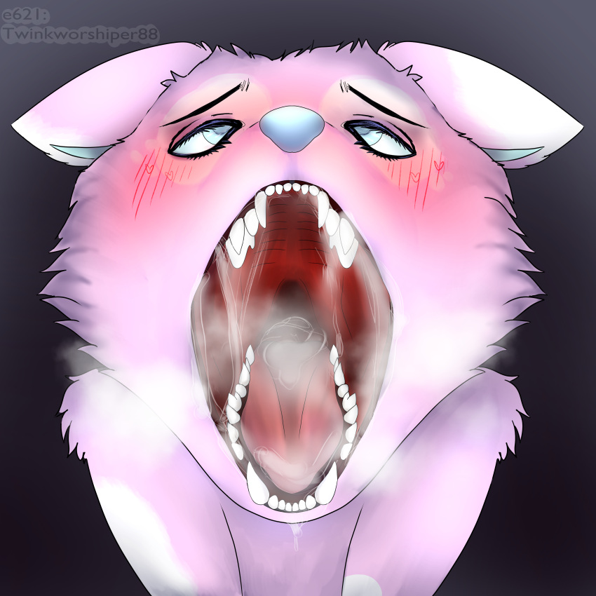 absurd_res ahegao ambiguous_gender anthro black_background black_eyebrows black_eyelashes blue_eyes blue_inner_ear blue_nose blue_pupils blush blush_lines bodily_fluids breath breath_cloud canid canine canine_teeth canis cheek_tuft cloud_(twinkworshiper88) cross-eyed cum cum_drip cum_in_mouth cum_in_throat cum_inside cum_on_chin cum_string drinking drinking_cum dripping ears_down excessive_saliva eyebrows facial_tuft female first_person_view fur gaping_mouth genital_fluids grey_background hi_res imminent_oral_vore imminent_vore looking_pleasured looking_up male mammal mouth_shot open_mouth panting pink_body pink_fur pivoted_ears predator/prey pupils saliva saliva_drip saliva_on_chin saliva_string sharp_teeth shoulder_tuft showing_teeth siliva simple_background solo spots teeth teeth_showing tuft twinkworshiper88 unnatural_colors white_spots wolf