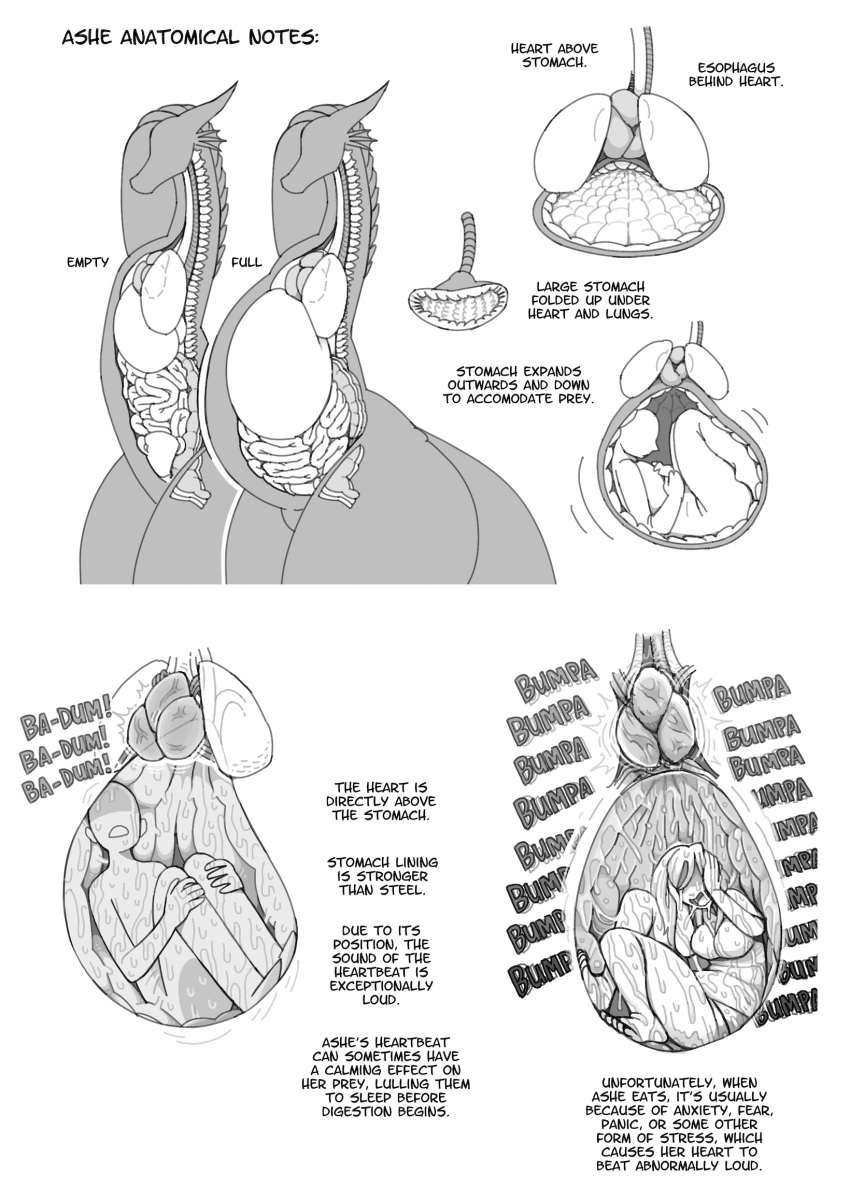 anatomy anthro anthro_pred ashe_(shyguy9) big_breasts biped bloated bodily_fluids breasts covering covering_ears diagram digestion dragon english_text esophageal_sphincter esophagus featureless_face female female_pred female_prey guts heart_(organ) heartbeat hi_res human human_prey information inside_stomach internal intestines long_neck lung male male_prey mammal oral_vore organs semi-anthro shyguy9 silhouette spine stomach stomach_acid text thick_thighs unwilling_prey vore