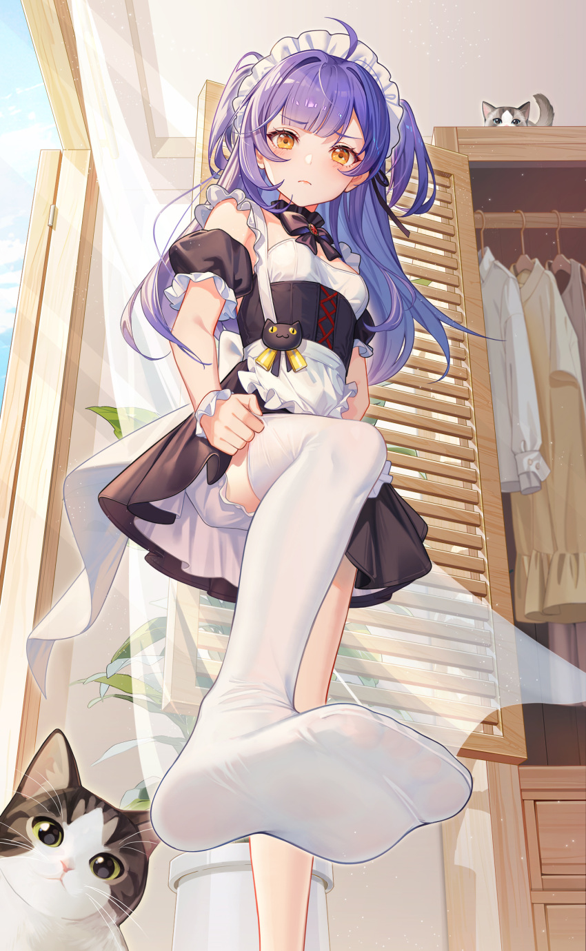 1girl absurdres ahoge apron bare_shoulders black_bow black_bowtie black_dress blue_hair blush bow bowtie breasts cat cat_ornament closed_mouth crazy_ones day detached_sleeves dress feet foot_focus foot_out_of_frame frilled_apron frills from_below frown highres indoors long_hair looking_at_viewer maid maid_headdress no_shoes official_art plant potted_plant puffy_short_sleeves puffy_shorts puffy_sleeves qianye_zhizi short_dress short_sleeves shorts shorts_under_dress single_bare_leg single_thighhigh small_breasts solo standing standing_on_one_leg thighhighs thighhighs_pull transparent_curtains two_side_up waist_apron wardrobe white_apron white_shorts white_thighhighs yellow_eyes