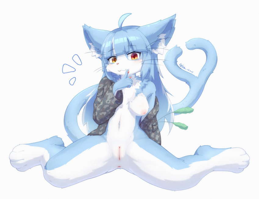 2023 4_toes 5_fingers absurd_res ahoge anthro anus areola blue_body blue_fur blue_hair blush breasts claws cute_fangs digital_media_(artwork) domestic_cat emanata feet felid feline felis female female_anthro finger_claws fingers fur genitals hair hi_res kemono mammal mostly_nude navel nipples omaneko pawpads paws pussy shiokisylvia solo spread_legs spreading tail toes whiskers white_body white_fur