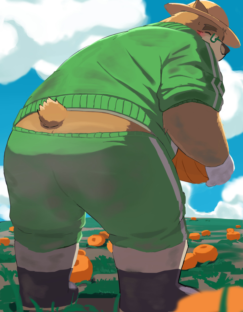 9dtq0 absurd_res anthro bear bent_over blush boots brown_body brown_fur butt clothing eyebrows eyewear farmer food footwear fruit fur gardening glasses gloves handwear hat headgear headwear hi_res lifewonders male mammal outside plant pumpkin solo straw_hat thick_eyebrows tokyo_afterschool_summoners volos