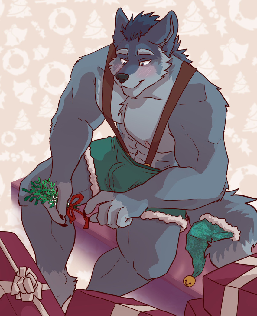 anthro barefoot bell blue_body blue_eyes blue_fur blush bottomwear bow_ribbon boxers_(clothing) bulge canid canine canis clothing dallan_(lust_shards) elf_hat eyebrows feet fluffy fur gift green_clothing hi_res jingle_bell male mammal mane mindoffur mistletoe muscular nipples plant shorts simple_background smile solo suspenders tail underwear wolf