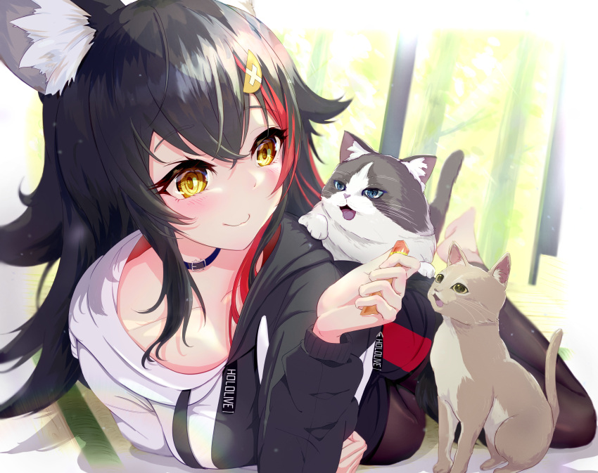 1girl absurdres animal animal_ear_fluff animal_ears barefoot black_collar black_hair black_pants black_sleeves blue_eyes breasts cat closed_mouth collar collarbone crossed_bangs curled_fingers dot_nose feet full_body green_eyes hair_between_eyes highres hihi_(oekakihix) hololive light_blush long_hair long_sleeves looking_at_another lying multicolored_hair on_stomach ookami_mio open_mouth pants red_hair smile soles solo streaked_hair toes virtual_youtuber whiskers wolf_ears wolf_girl yellow_eyes