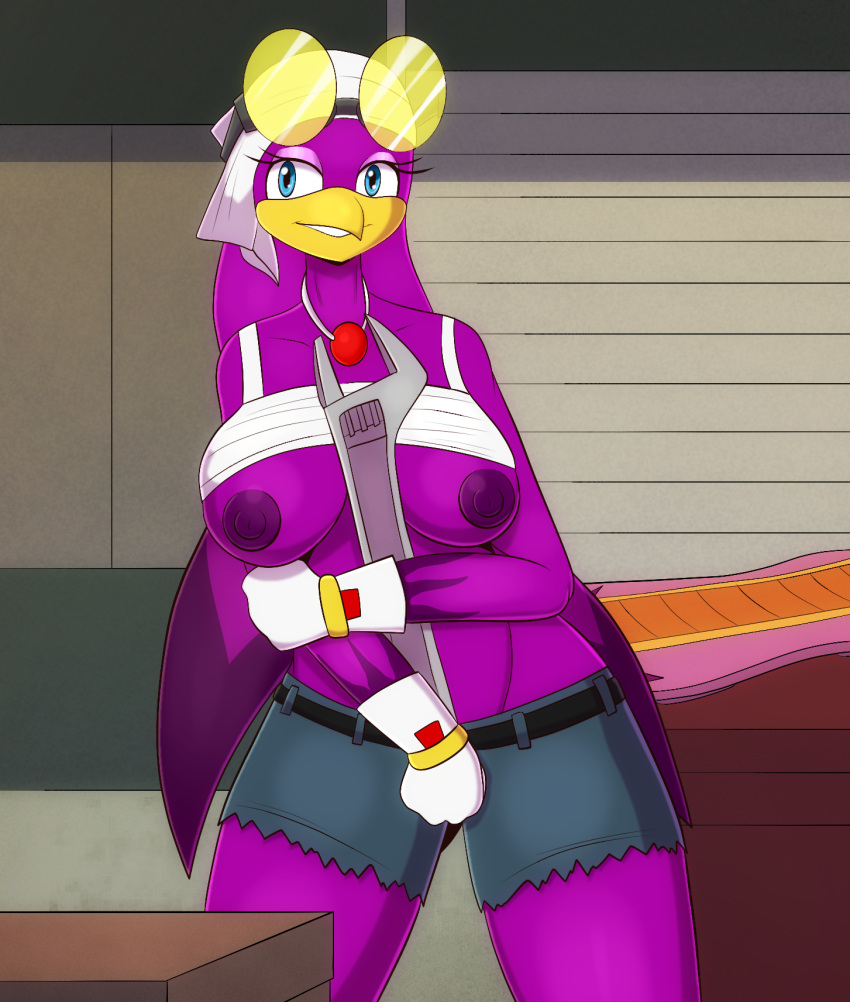 accessory anthro areola avian bird bottomwear breasts clothed clothing clothing_lift digital_media_(artwork) exposed_breasts eyeshadow female flyingtrace gloves handwear hi_res hirundinid looking_at_viewer makeup nipples oscine passerine sega shirt shirt_lift shorts smile solo sonic_riders sonic_the_hedgehog_(series) swallow_(bird) tools topwear wave_the_swallow wrench