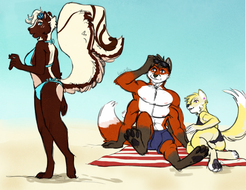 4_arms 4_pecs anthro artist_name ashcoyote beach beach_towel bikini canid canine canis chipfox clothing coyote crema eyewear fox group gynomorph hi_res intersex luciellia male mammal mephitid multi_arm multi_limb multi_pecs pecs red_fox sand seaside signature simple_background skunk sunglasses swimsuit_bulge swimwear towel trio