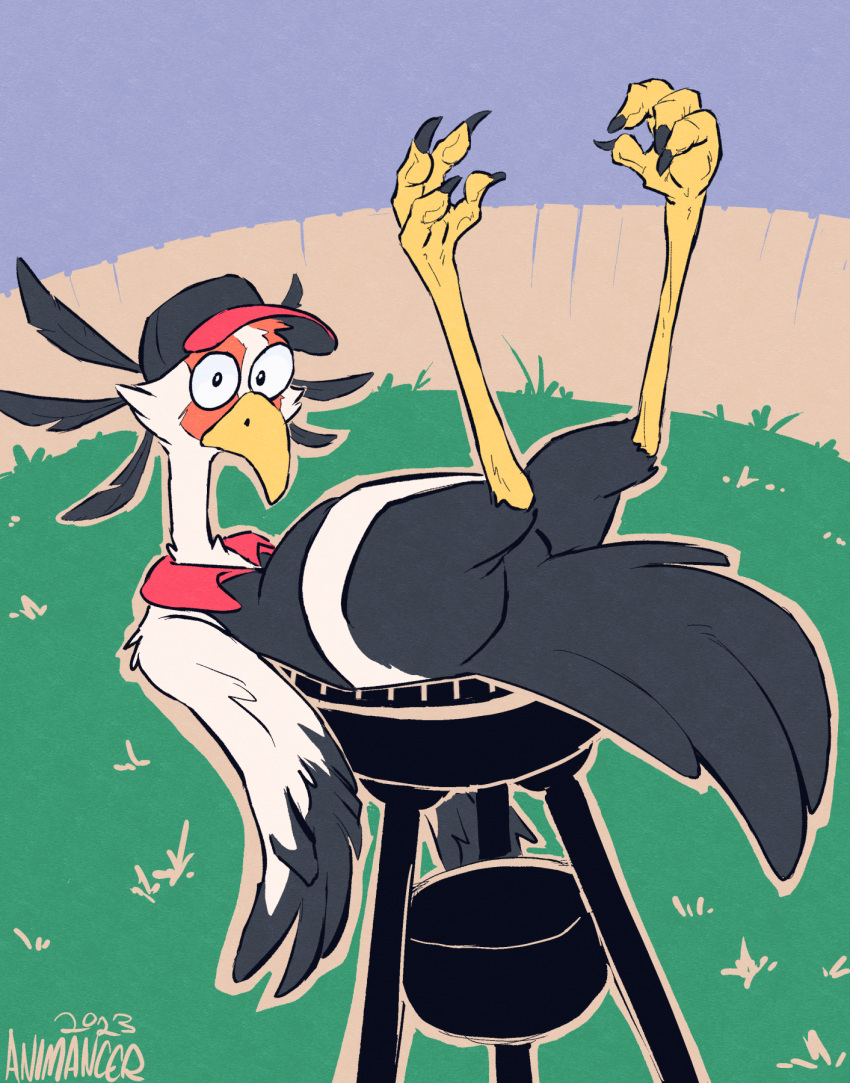 accipitriform animancer avian barbecue bird clothing feathers feet hat headgear headwear hi_res legs lying on_back orloft secretary_bird