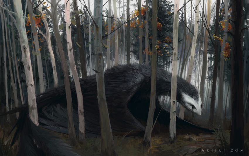 2019 ambiguous_gender ari_ibarra autumn avian bird black_body black_eyes black_feathers crawling day detailed detailed_background detailed_feathers digital_media_(artwork) digital_painting_(artwork) feathered_wings feathers feral forest forest_background long_neck nature nature_background on_ground outside plant side_view solo tail_feathers tree wings