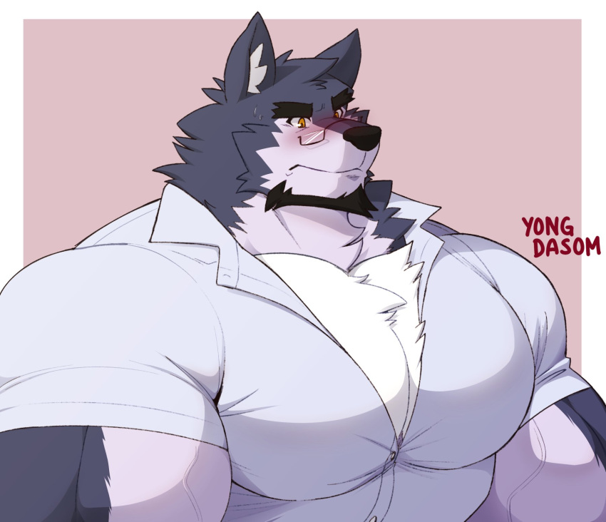 2023 anthro artist_name as beard big_biceps big_pecs blue_body blue_clothing blue_fur blue_shirt blue_topwear blush canid canine canis chest_tuft clothing collared_shirt dante_(yongdasom) dress_shirt eyewear facial_hair fur glasses hair hi_res male mammal multicolored_body multicolored_fur muscular muscular_anthro muscular_male pecs pink_background shirt short_sleeved_shirt short_sleeves simple_background solo topwear tuft two_tone_body two_tone_fur vein veiny_muscles white_body white_fur white_hair wolf yellow_eyes yongdasom