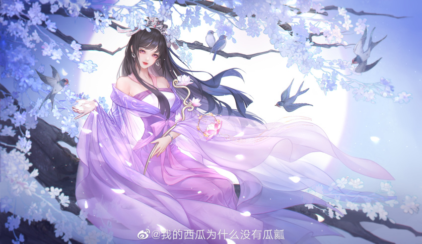 1girl absurdres bird bracelet chi_lian_(qin_shi_ming_yue) dress earrings falling_petals highres holding hoop_earrings huai_guang_zz jewelry long_hair moon o-ring_dress parted_lips petals purple_dress purple_eyes qin_shi_ming_yue sash second-party_source sitting solo tiara tree