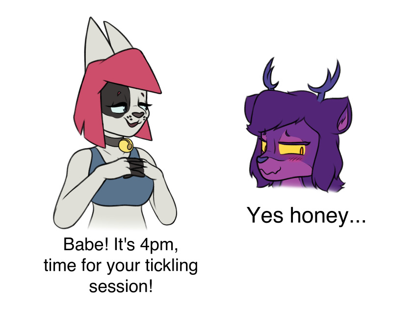 absurd_res anthro bell bell_collar blush blush_lines canid canine clothing collar deer duo english_text female flustered fur hair haitbe hatie hi_res humanoid interlocked_fingers male mammal meme purple_body purple_fur purple_hair red_hair shirt smug tank_top text tickle_fetish topwear white_body white_fur yellow_eyes