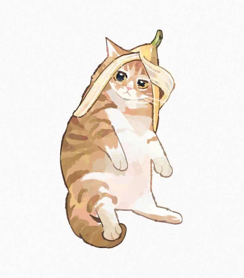 animal animal_focus banana_peel cat full_body gentlecat highres looking_at_viewer lying no_humans on_back original simple_background white_background