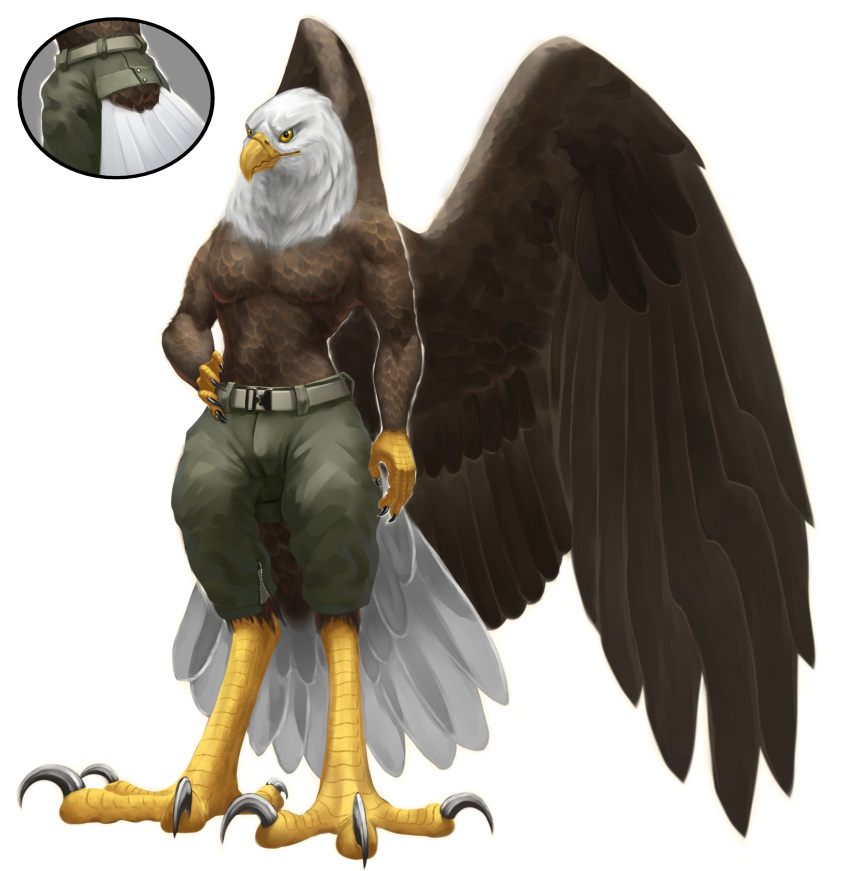 2023 absurd_res accipitrid accipitriform alcander anthro athletic avian avian_feet bald_eagle beak bird black_claws bottomwear brown_body brown_feathers claws clothing cutaway dsw7 eagle feathered_wings feathers hand_on_hip hi_res male pants scales sea_eagle shirtless shirtless_male solo tail tail_feathers talon_hands talons white_body white_feathers wings yellow_beak yellow_body yellow_eyes yellow_scales