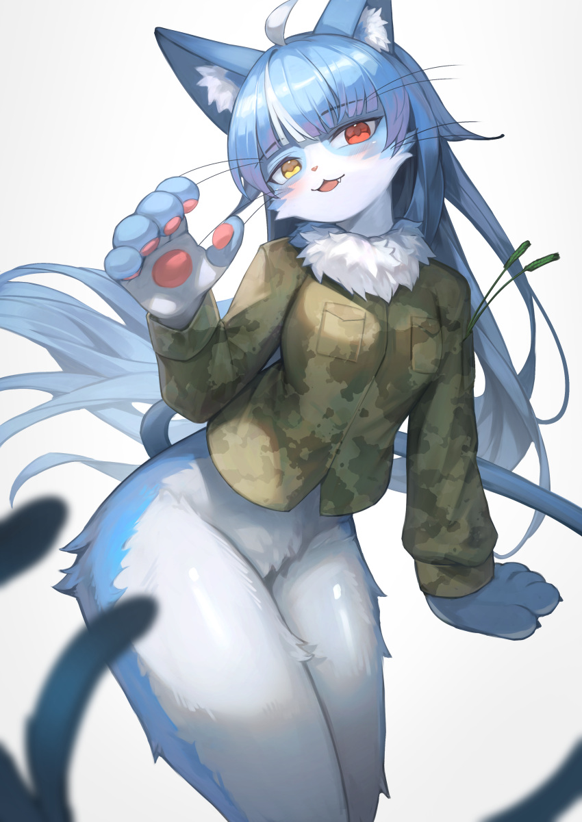 1boy :3 absurdres ahoge animal_ear_fluff animal_ears blue_hair blunt_bangs blush bottomless breasts camouflage camouflage_jacket camouflage_shirt cat_boy cat_ears fangs fur_collar furry furry_male hakusyokuto heterochromia highres jacket japan_air_self-defense_force japan_air_self-defense_force_omaezaki_sub-base japan_self-defense_force large_breasts long_hair male_with_breasts military multicolored_hair omaneko open_mouth otoko_no_ko red_eyes shirt solo split_tail streaked_hair white_hair yellow_eyes