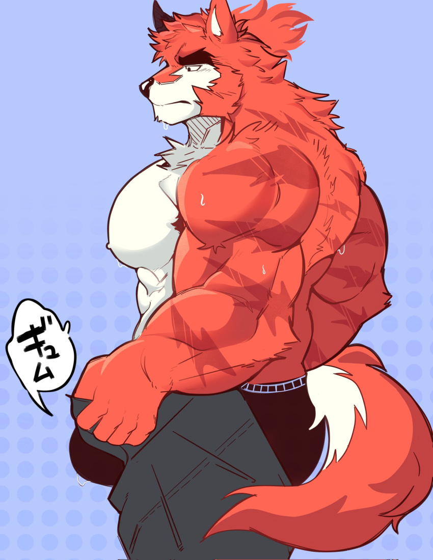 1boy animal_ears artist_request ass bara black_male_underwear bulge dog_boy dog_ears dog_tail dressing feet_out_of_frame forked_eyebrows from_side highres i've_never_seen_a_guy_recreate_this_successfully_tbh_(meme) large_pectorals male_focus male_underwear meme muscular muscular_male nipples open_pants orange_fur original pants pants_lift pectorals precum precum_drip purple_background short_hair solo sweat tail thick_arms thick_eyebrows topless_male translation_request undersized_clothes underwear