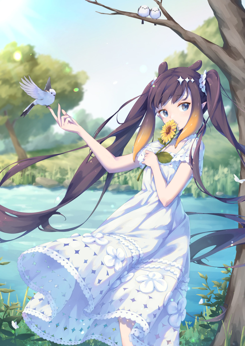 1girl absurdres aeon_ion alternate_hairstyle animal_ears bird bird_on_hand black_hair blue_eyes dress extra_ears flower gradient_hair highres holding holding_flower hololive hololive_english lake layered_dress long_hair looking_at_viewer multicolored_hair ninomae_ina'nis orange_hair outdoors pointy_ears short_sleeves sidelocks solo sunflower tentacle_hair twintails very_long_hair virtual_youtuber white_dress