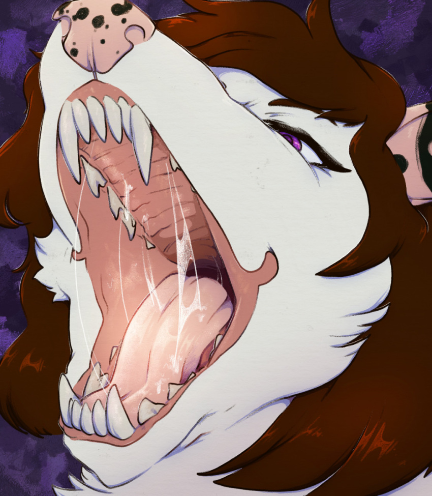 anthro bodily_fluids brown_hair cheek_tuft facial_tuft fangs female fur hair hi_res lionfloof mouth_shot open_mouth pink_nose pink_tongue purple_eyes purple_sclera saliva saliva_on_tongue saliva_string simple_background solo spotted_nose teeth tongue tuft white_body white_fur