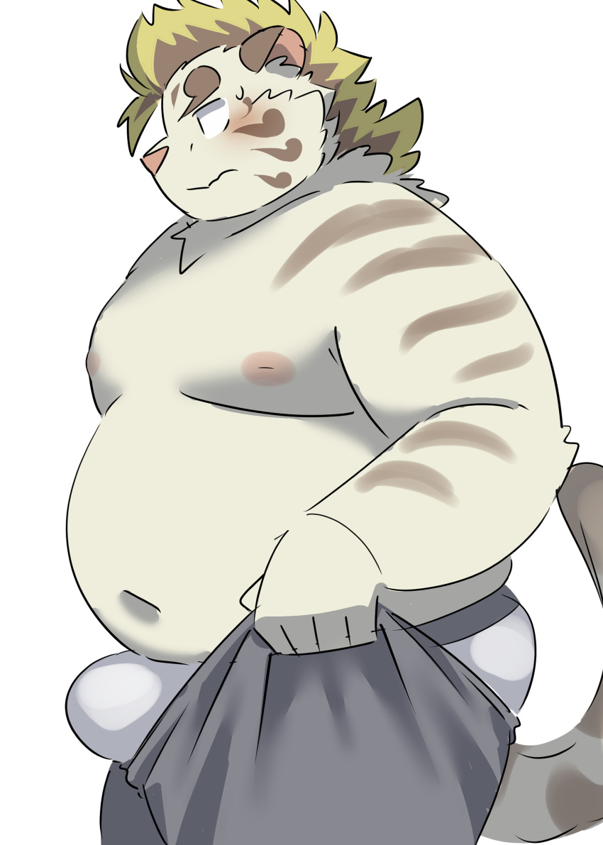 2023 absurd_res anthro belly big_belly blush bottomwear bulge clothing felid hi_res kemono licho_(tas) lifewonders male mammal moobs navel nipples overweight overweight_male pantherine pants pink_nose ptcmtr simple_background solo tiger tokyo_afterschool_summoners underwear white_background white_body