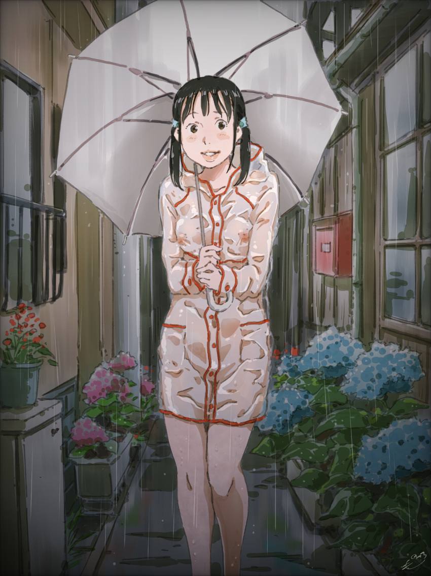 1girl alley black_hair blue_flower blue_scrunchie blush breasts commentary convenient_censoring exhibitionism feet_out_of_frame flower flower_pot highres holding holding_umbrella hood hood_down hydrangea lips long_sleeves looking_at_viewer mailbox_(incoming_mail) medium_hair monodevil naked_raincoat navel nipples original outdoors parted_lips pink_flower pink_lips plant planter potted_plant public_indecency public_nudity pussy rain raincoat red_flower scrunchie small_breasts smile solo standing transparent twintails umbrella walking