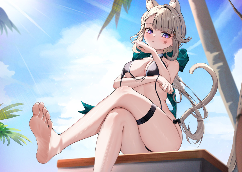 1girl absurdres animal_ears bare_legs bare_shoulders barefoot bikini black_bikini blue_sky breasts cat_ears cat_tail choker cloud commentary_request day facial_mark foot_out_of_frame genshin_impact grey_hair hand_up head_tilt highres large_breasts long_hair looking_at_viewer lynette_(genshin_impact) outdoors palm_tree purple_eyes radoremo sitting sky solo star_(symbol) stomach swimsuit tail thigh_strap thighs tree very_long_hair